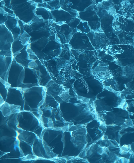 Lorem ipsum dolor sit amet